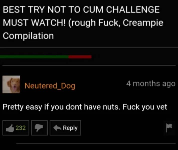 Pornhub’s Comment Section Is A One-Way Ticket…