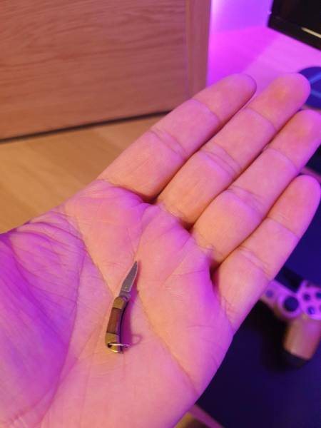 Now That’s Really Cool!