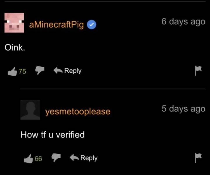 Pornhub’s Comment Section Is Wild…