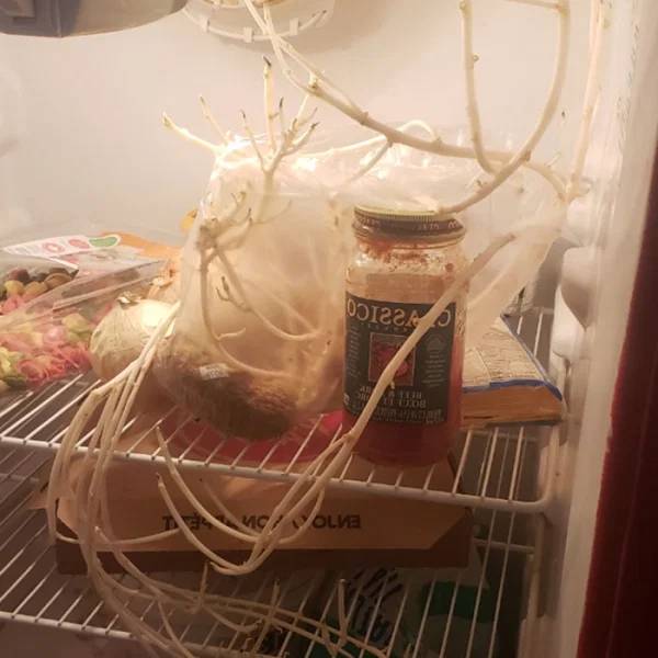 How Can You Be SO MESSY?!