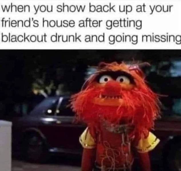 These Memes Are Drunk!
