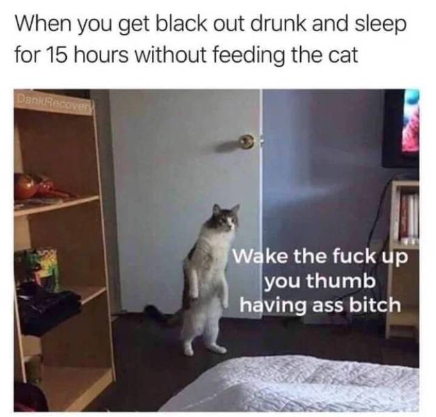 These Memes Are Drunk!