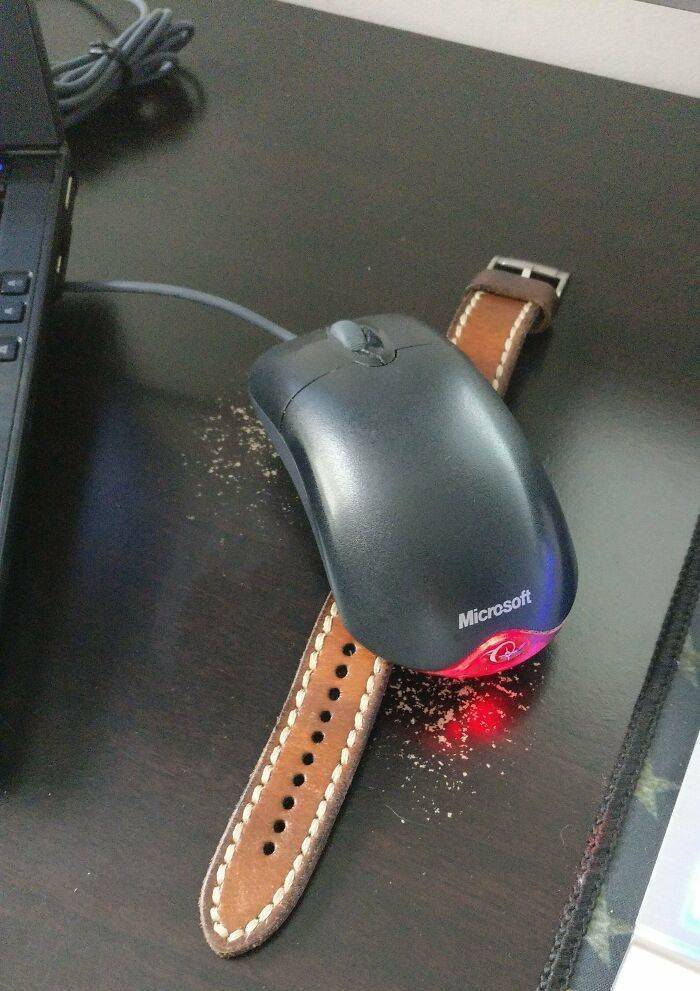 Unusual Features Of Usual Things…