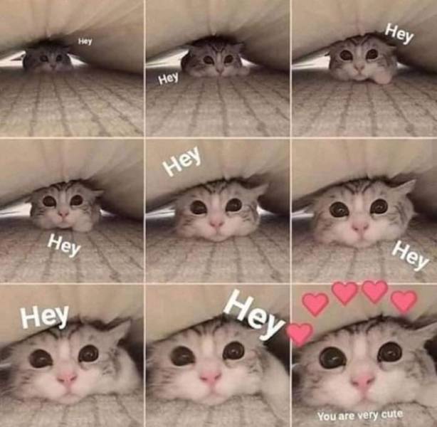 Dirty Memes For Your Flirting Needs