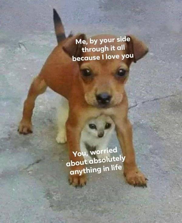 Dirty Memes For Your Flirting Needs