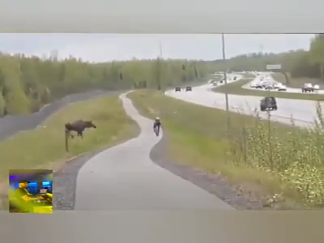 Fail And Win Compilation!