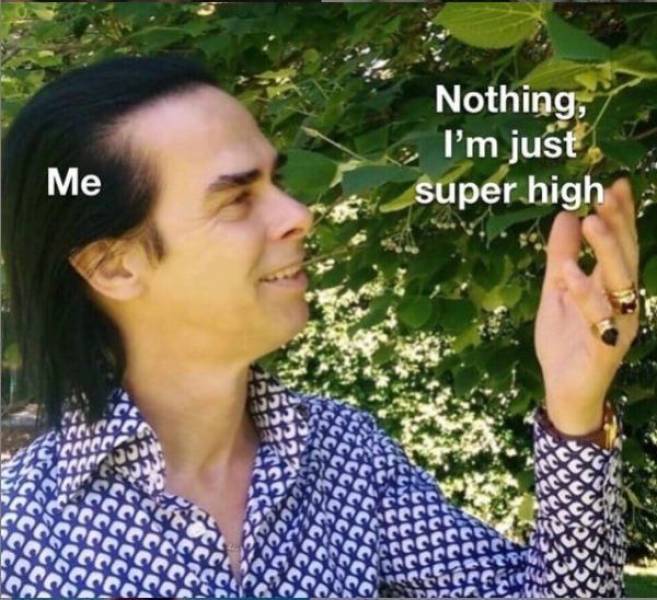 These Memes Are Higher Than The Sky…