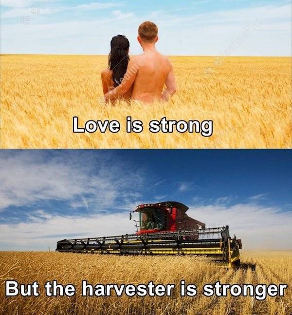 This Is Some Dirty Mind Material Right Here