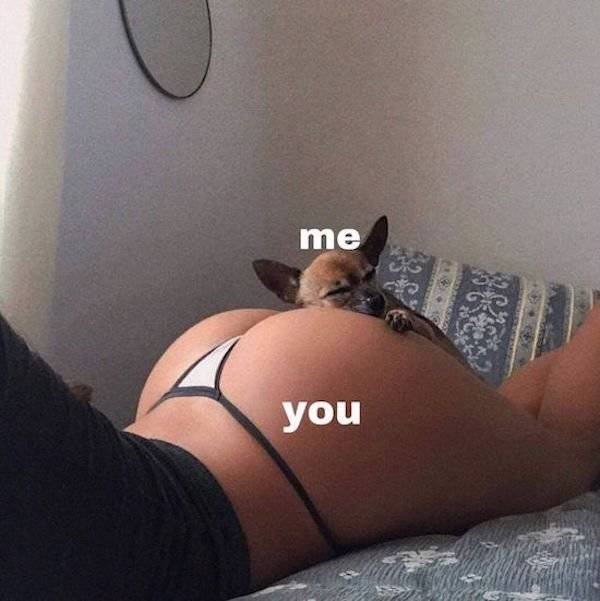 This Is Some Dirty Mind Material Right Here
