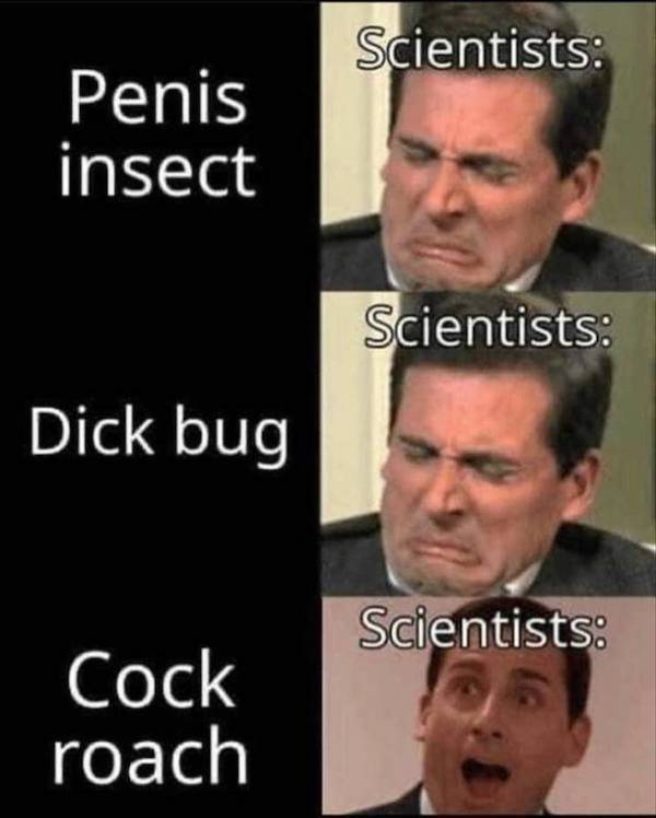 This Is Some Dirty Mind Material Right Here