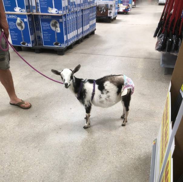 “Walmart” Has Some Very Extravagant Customers…