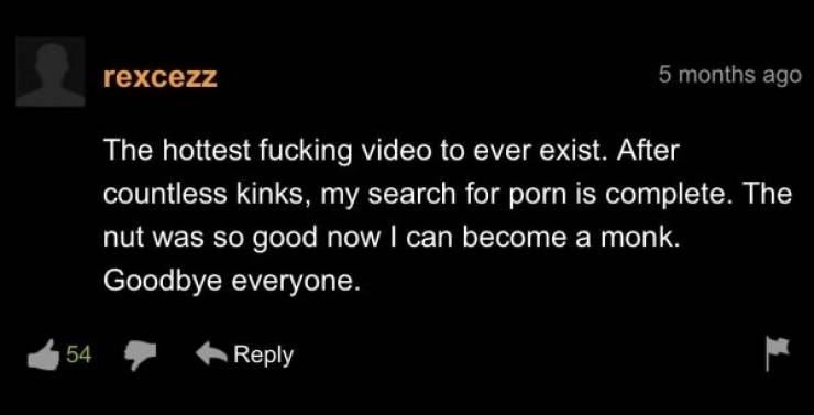 “Pornhub” Comment Section Can’t Be Understood…