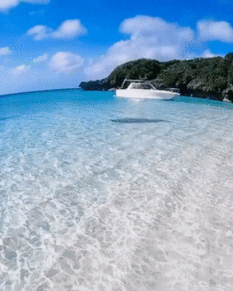 That’s A Wow Right There!