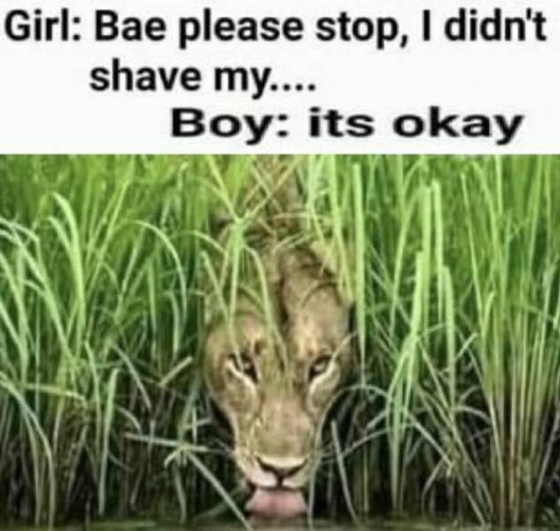 Start Your Day With Some Dirty Memes!