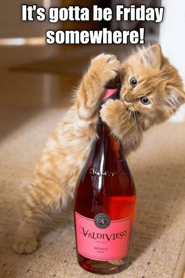 Someone’s Been Drinking…