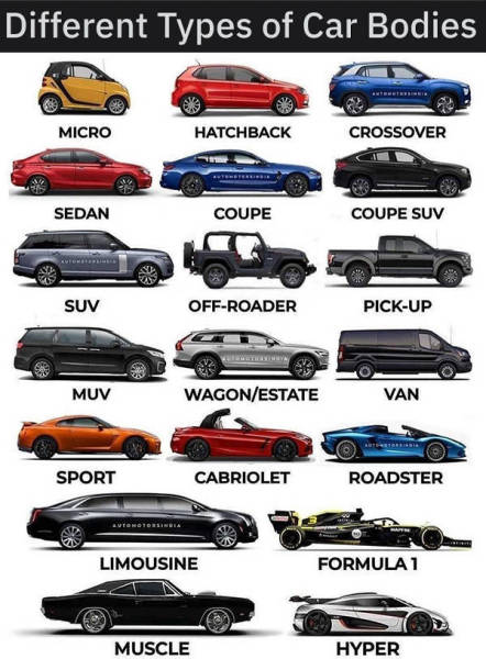 Random Charts Full Of Random Knowledge!