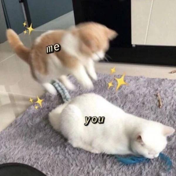 Dirty Humor, Any Day Of The Week!