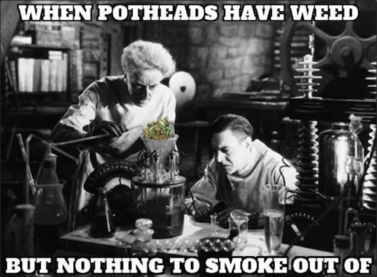 These Stoner Memes Are Way Too High!