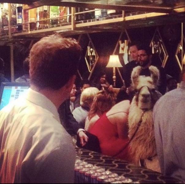 Nightclubs Are Purely Chaotic…