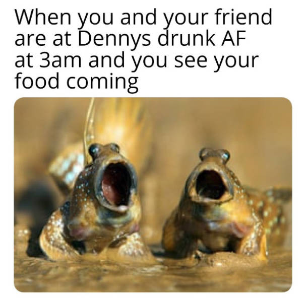 Wasted… Again?!