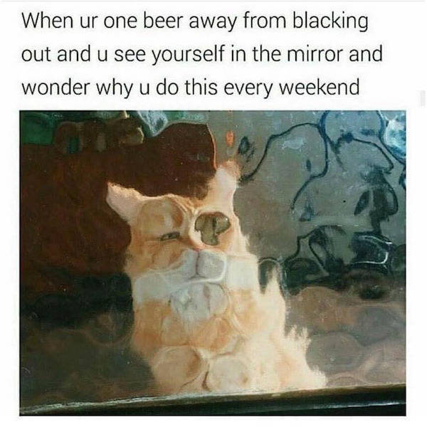 Wasted… Again?!