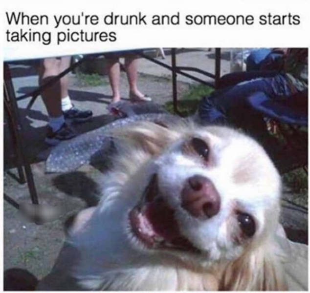 Drinking Never Ends!