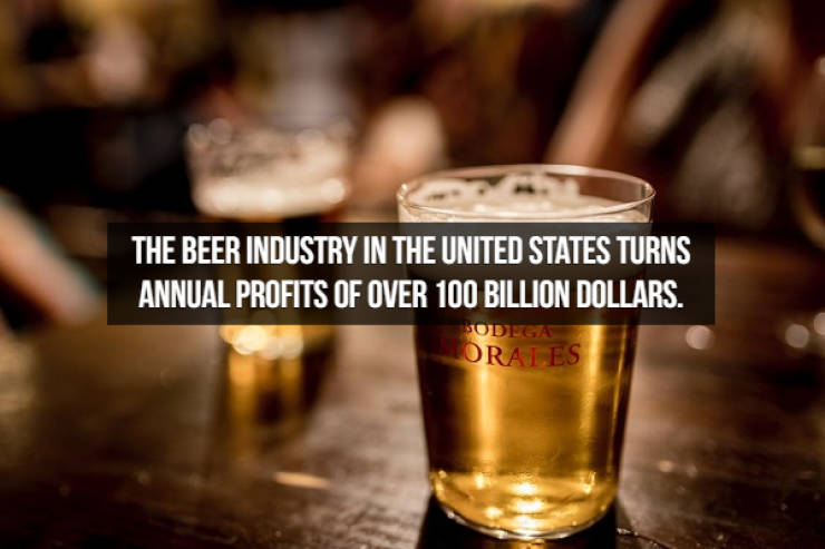 Let’s Brew Up Some Beer Facts!