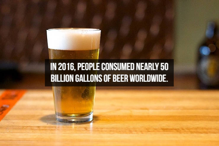 Let’s Brew Up Some Beer Facts!
