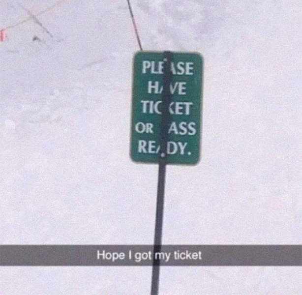 They Knew Exactly What They Were Doing