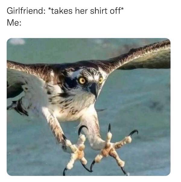 These Memes Are For Men Only!