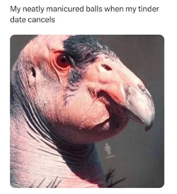 Memes That Only Men Will Truly Get