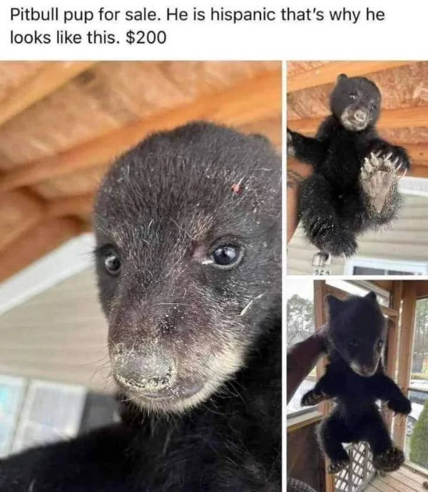 Hold On A Minute...