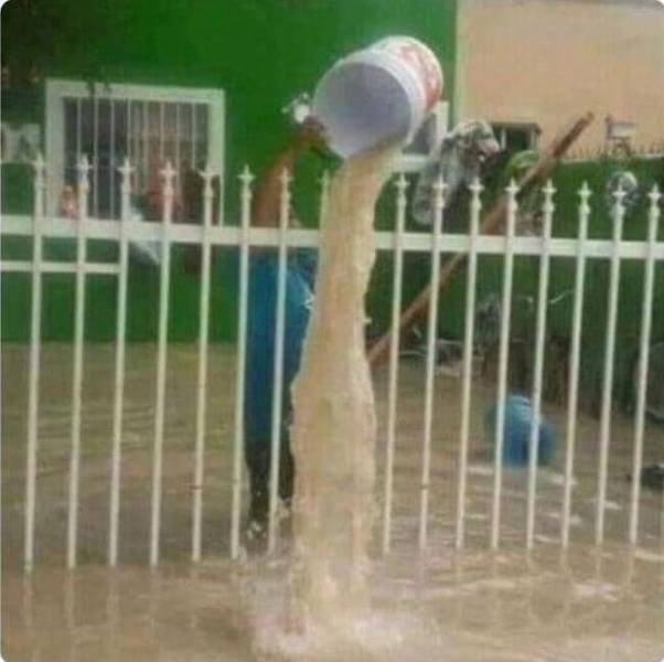 Streets Of Laughter: Silly Moments Captured For All To See