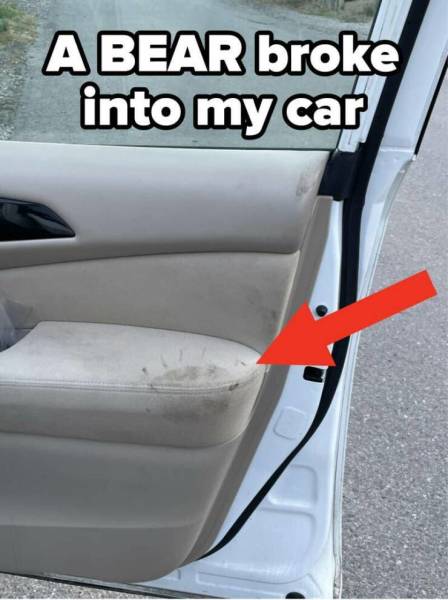 When Everything Goes Wrong: Tales Of Unfortunate Days