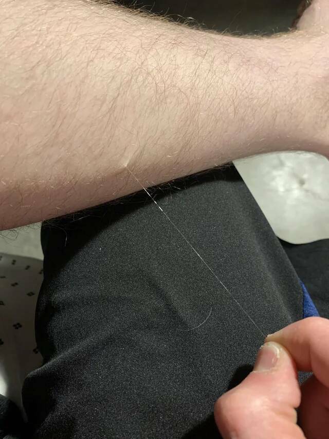 Subtly Captivating: The Charm Of Mildly Interesting Moments