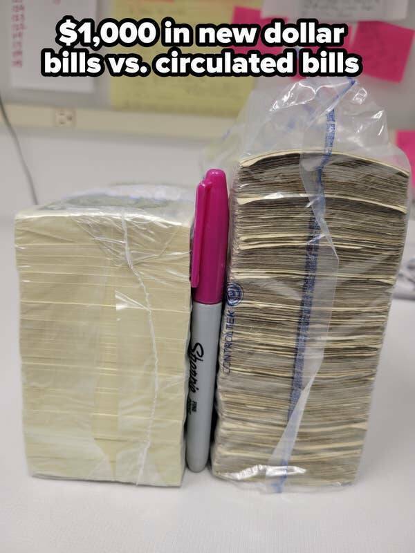 Captivating Captures: A Gallery Of Truly Fascinating Photos