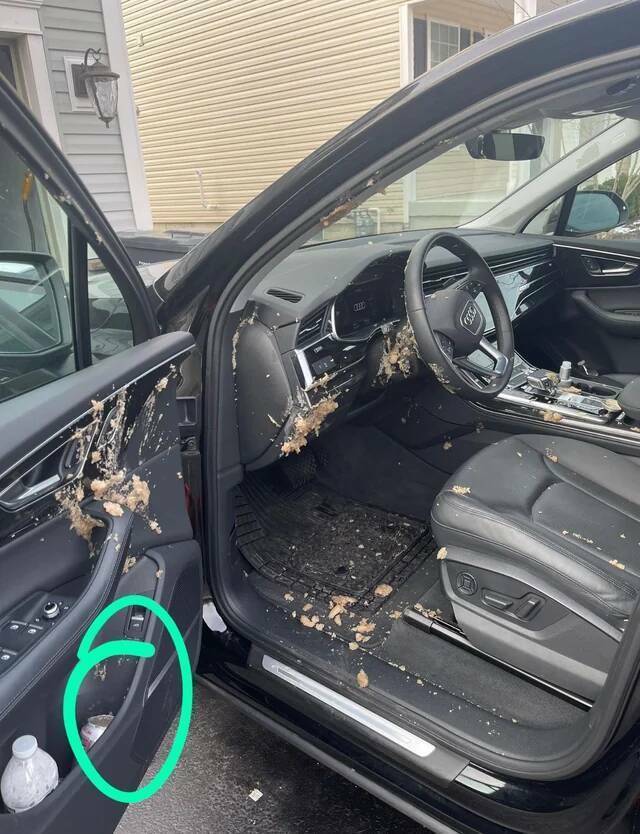 Day In Distress: Tales Of People Battling The Bad