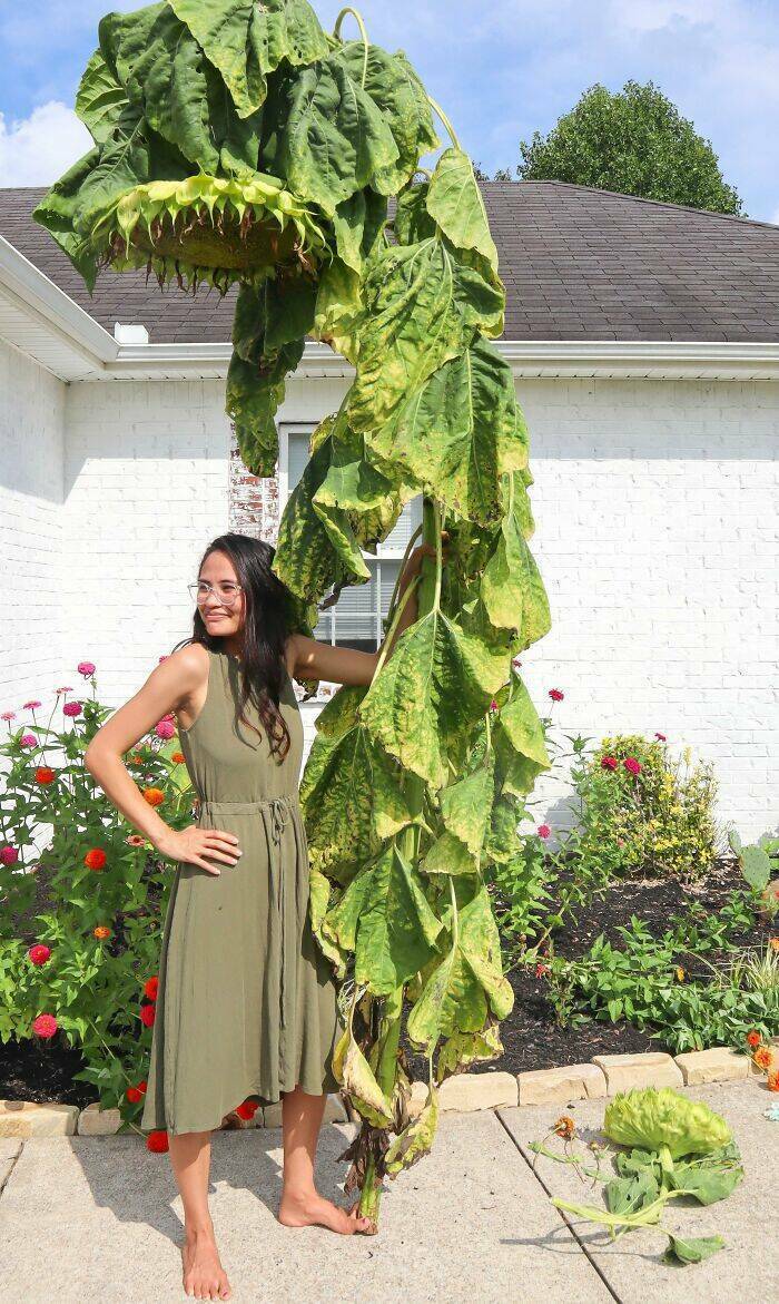 Rare Sights Revealed: Curious Images From Uncommon Perspectives