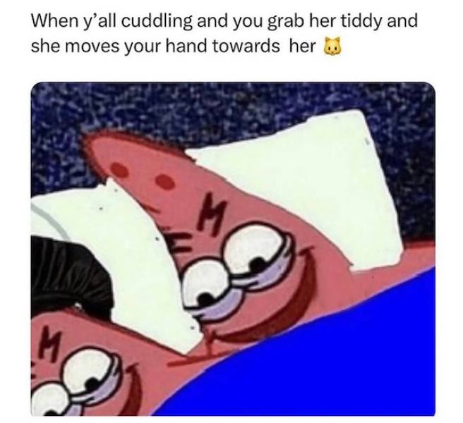 NSFW Memes For Grown-Ups