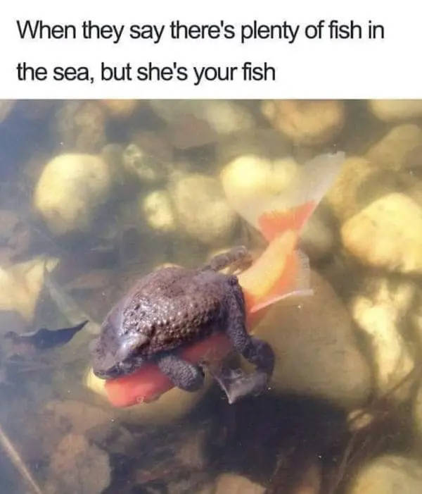 Flirty Memes To Annoy Your Better Half