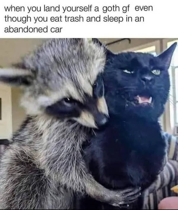 Flirty Memes To Annoy Your Better Half