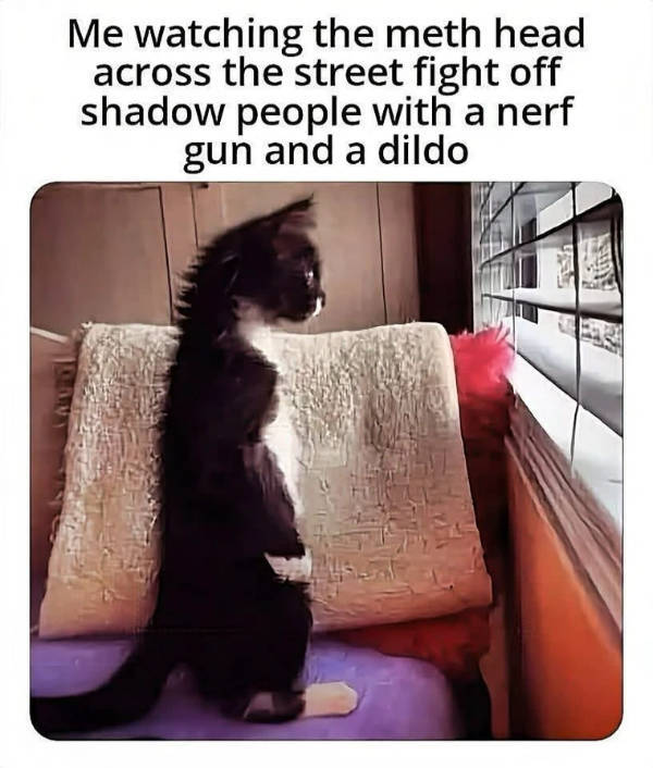 Random Memes Because Why Not