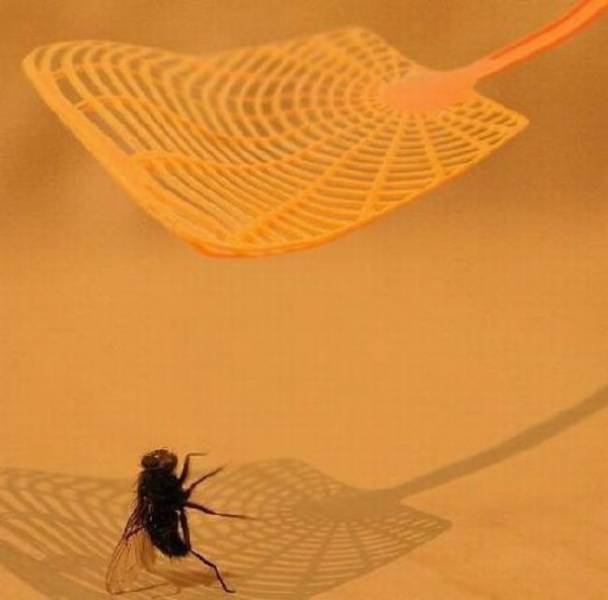 Seconds Before Everything Went Wrong