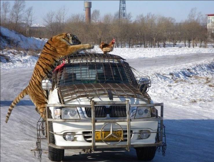 Seconds Before Everything Went Wrong