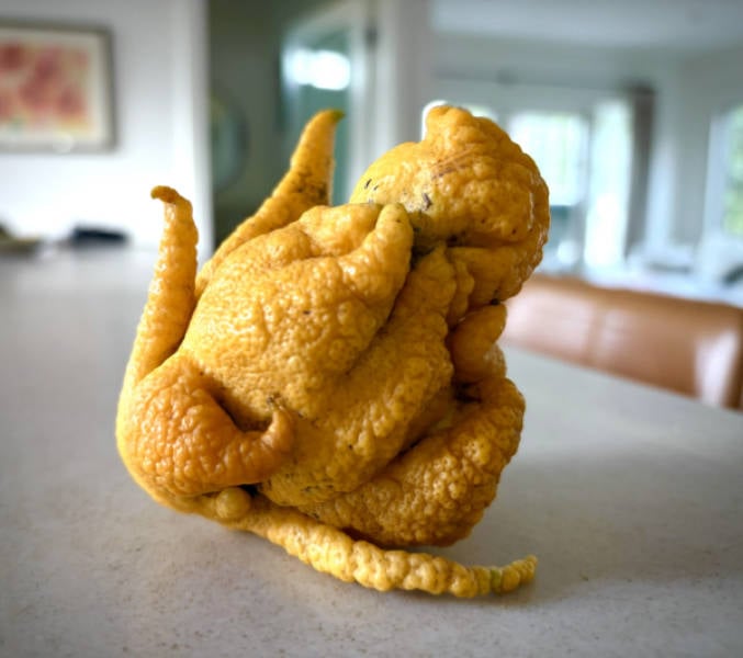 Unexpectedly Awesome Moments