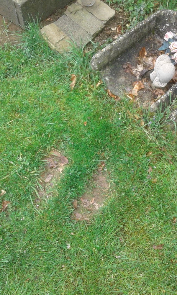 Unexpectedly Awesome Moments