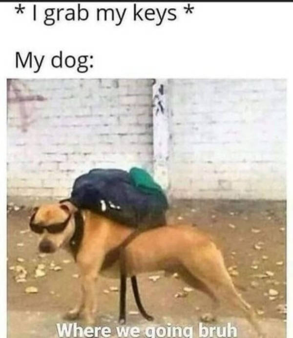 Memes That Hit a Little Too Close to Home