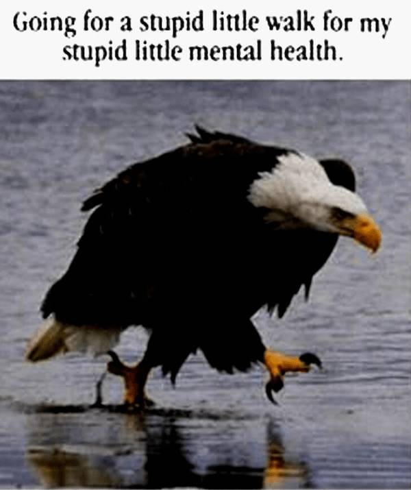 Mindless Memes for Mornings That Absolutely Suck