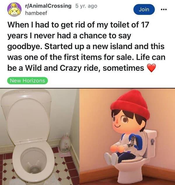 So Dumb It’s Actually Hilarious