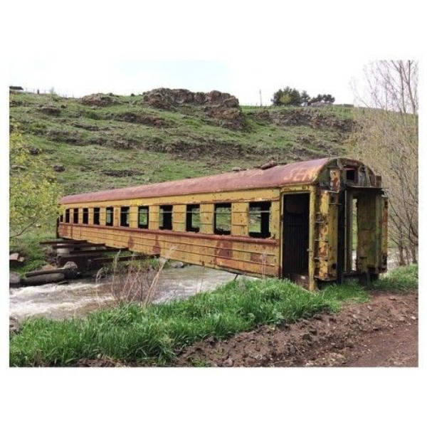 Uniquely Beautiful Moments Caught on Camera